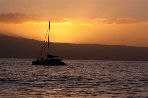 puerto vallarta sunset cruise dinner.